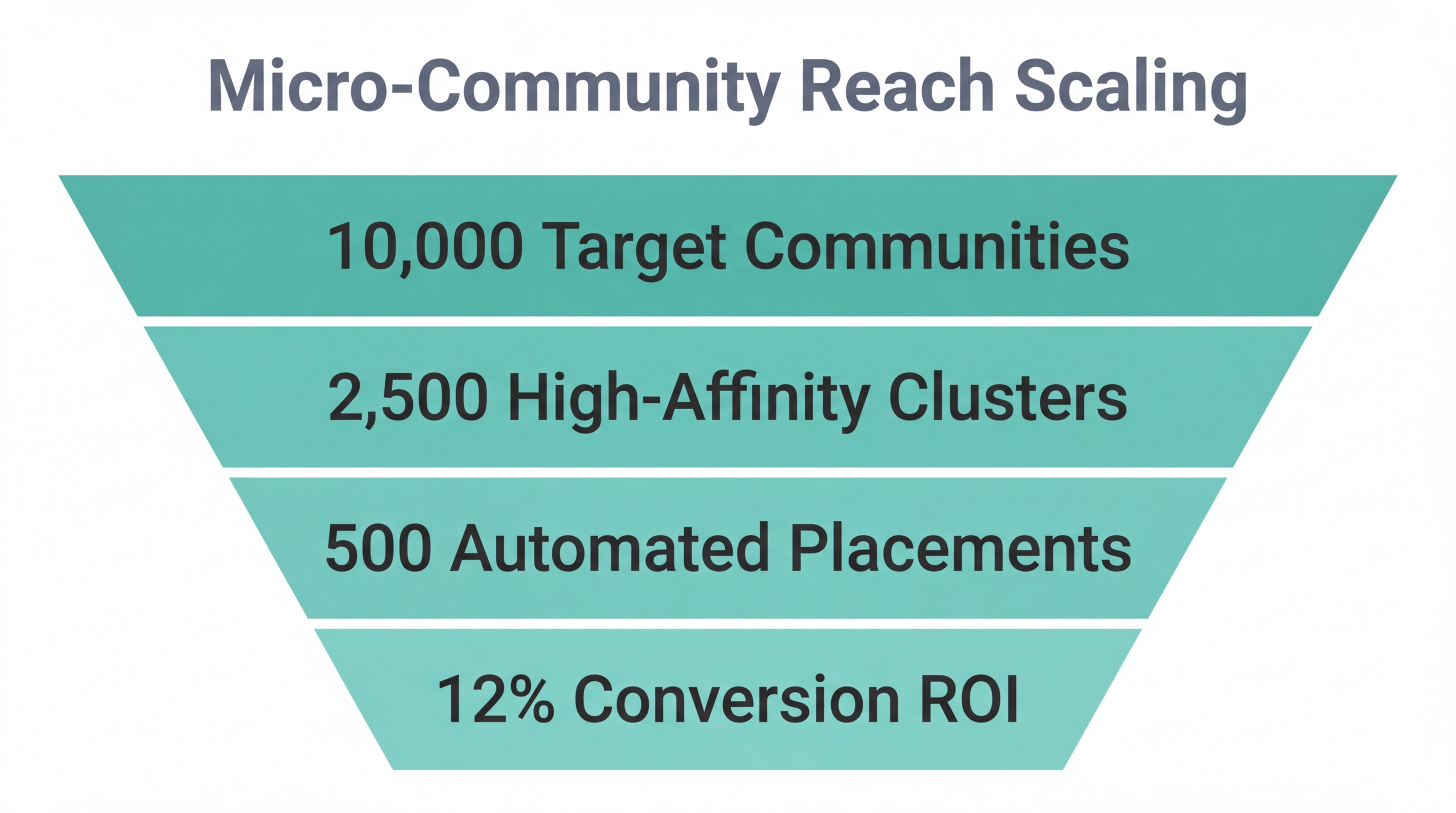 Funnel showing micro-community targeting and conversion ROI.