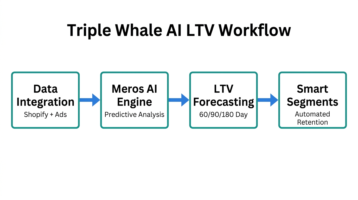 Step-by-step workflow of Triple Whale's predictive LTV tracking engine.