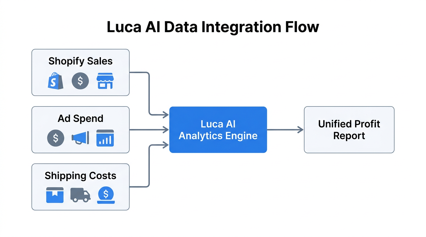 The process of unifying Shopify data through Luca AI