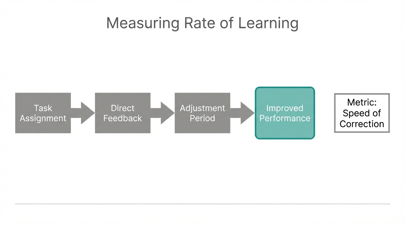 The feedback loop used to identify high-potential talent.