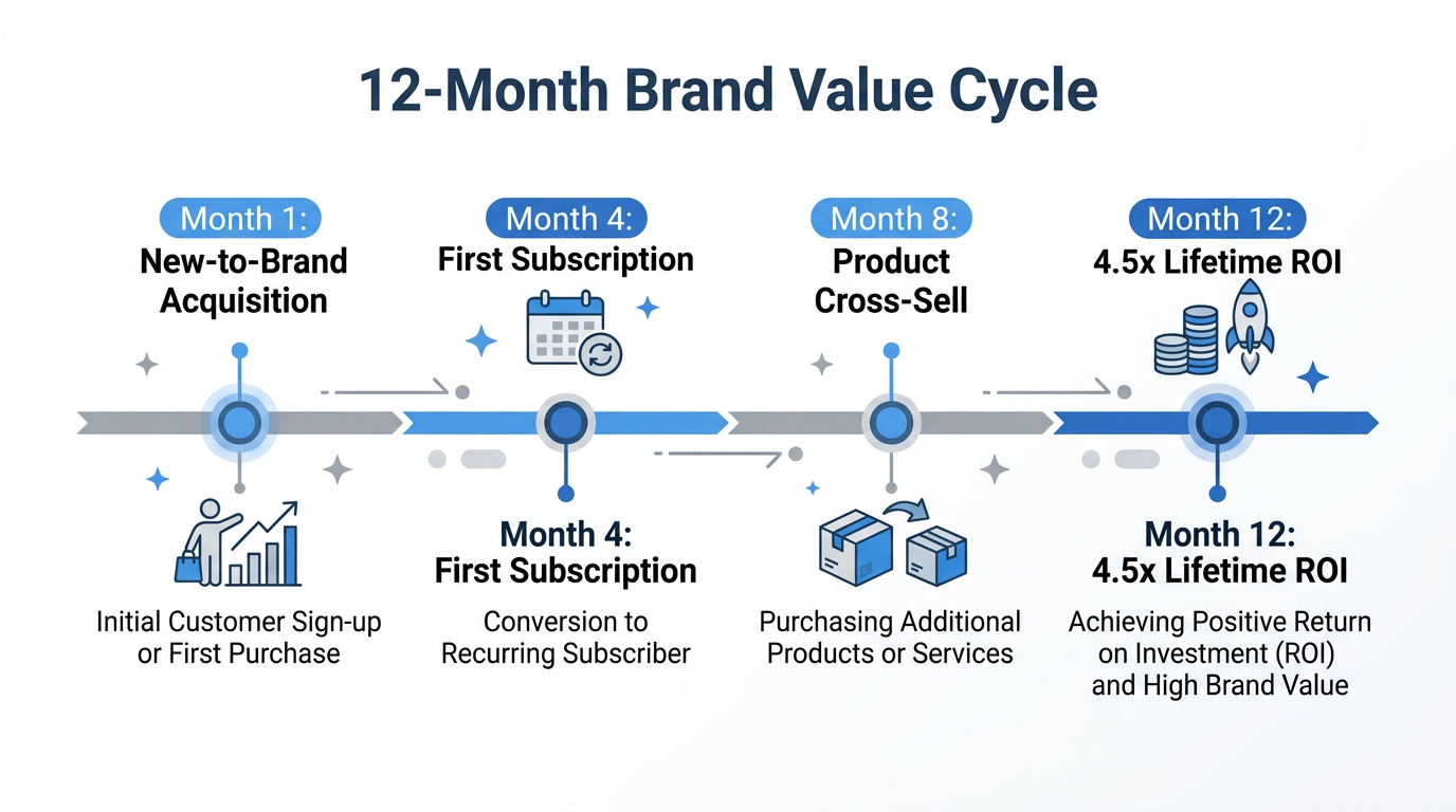 Timeline showing long-term brand impact and cumulative LTV over 12 months.