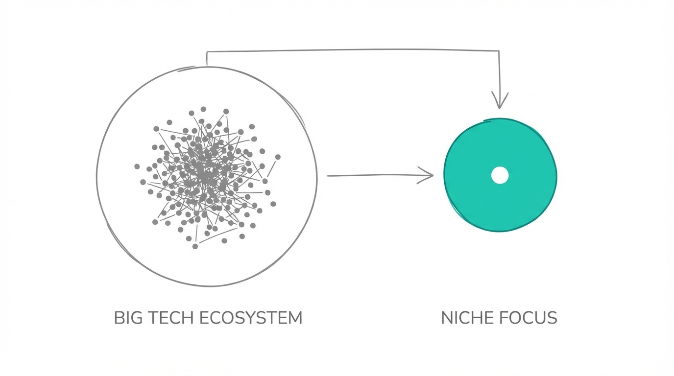 The Counter Positioning Strategy