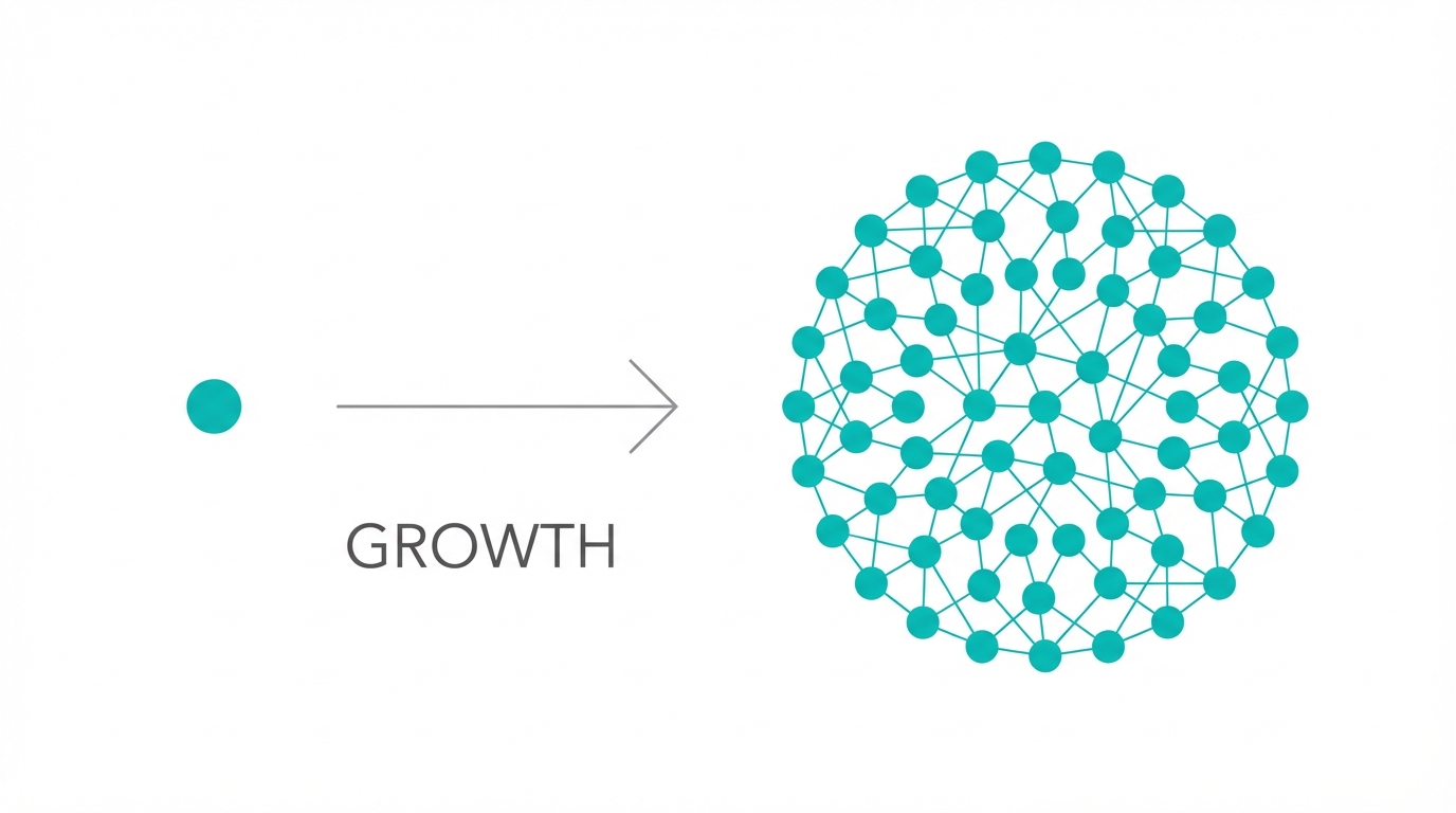 Transitioning From Niche To Macro