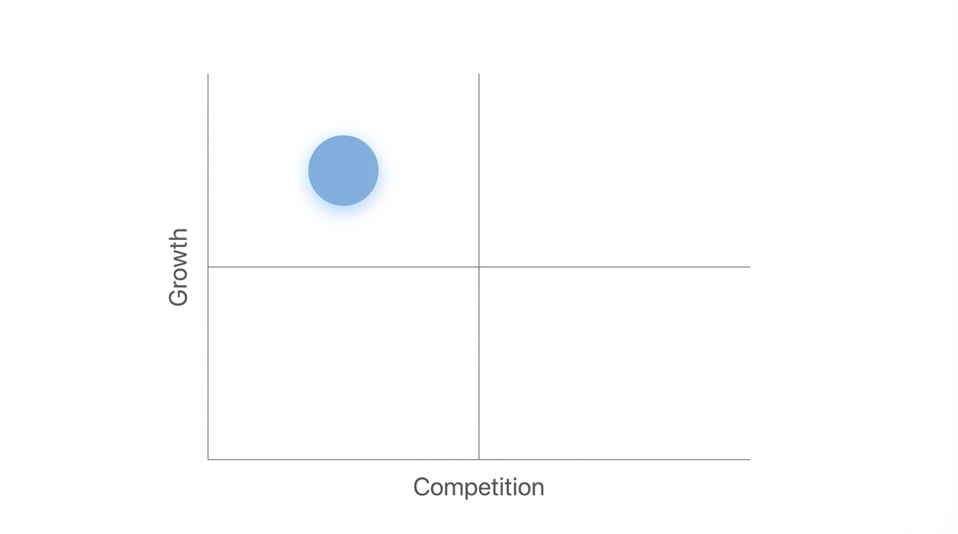 Identifying High Growth Low Competition Ideas