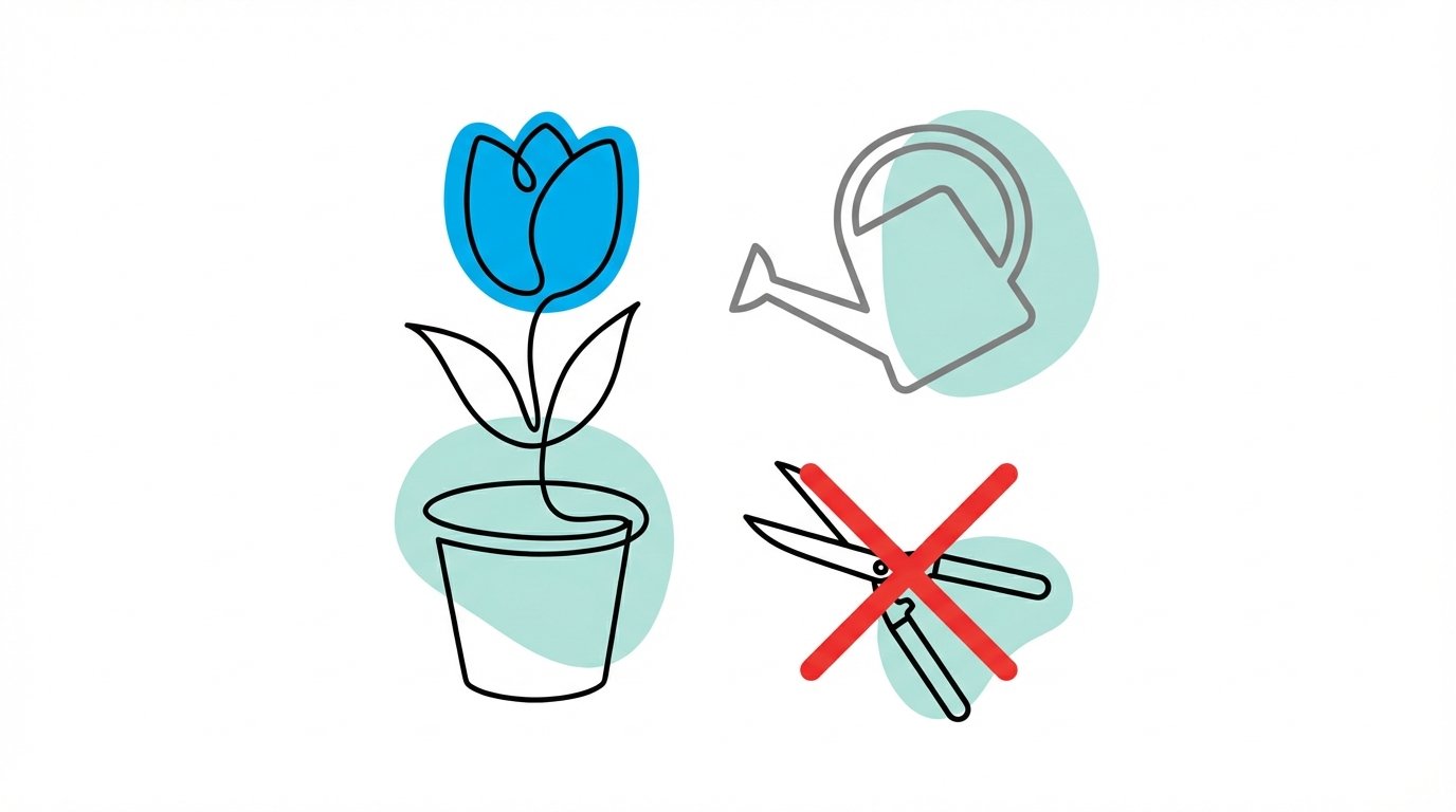 Don'T Cut Your Flowers