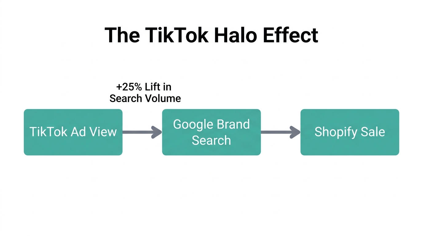 Visualizing how TikTok impressions drive incremental Google search traffic.
